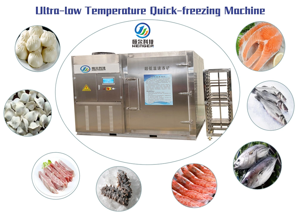 IQF Freezer Refrigeration Equipment